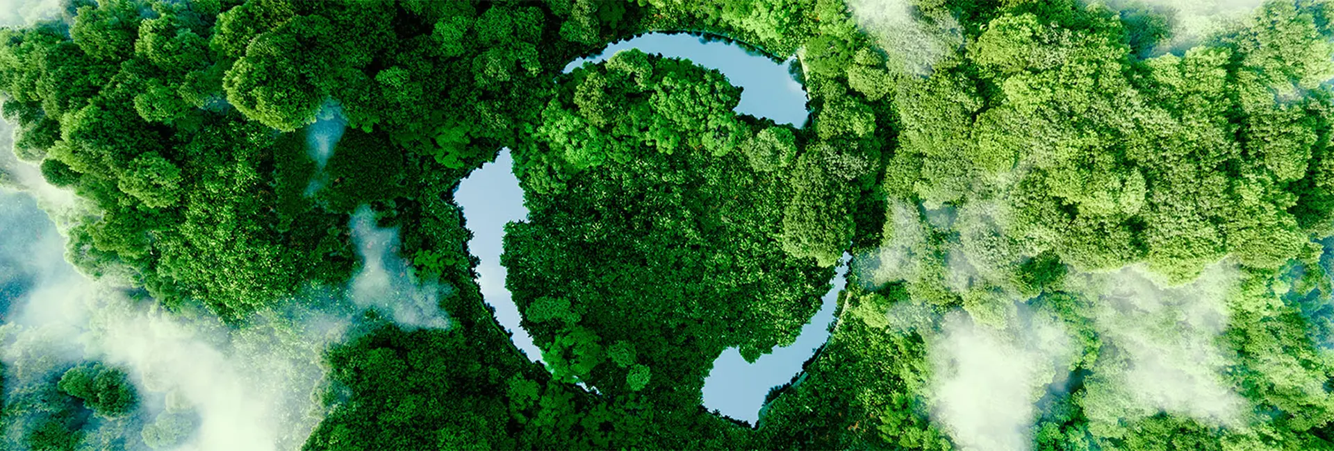 A recycling symbol shaped by trees (photo)